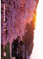 virtual trip さくら nostalgia （低価格化）　趣味・教養