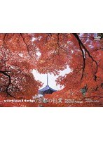 virtual trip 京都の紅葉 （低価格化）　趣味・教養