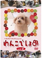 北海道文化放送Presents『わんこでしょ』DVD vol.2　テレビ