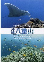virtual trip 沖縄八重山 Diving View （低価格化）　趣味・教養
