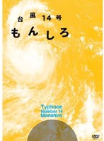 台風14号 もんしろ　趣味・教養