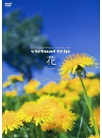 virtual trip 花 Flowers 四季の山野草と高山植物　趣味・教養