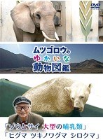 『ムツゴロウのゆかいな動物図鑑』シリーズ 「ゾウとサイ 大型の哺乳類」「ヒグマ ツキノワグマ シロクマ」　テレビ