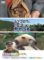 『ムツゴロウのゆかいな動物図鑑』シリーズ 「進化の不思議 有袋類」「アリクイ アルマジロ ナマケモノ～貧歯目の仲間たち～」　テレビ