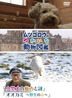 『ムツゴロウのゆかいな動物図鑑』シリーズ 「小型犬の魅力とその謎」「オオカミ～野生の心～」　テレビ