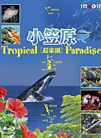 小笠原［超楽園］-Tropical Paradise- （ブルーレイディスク）　趣味・教養