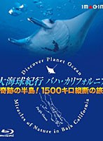 大海球紀行バハ・カリフォルニア-奇跡の半島！1500キロ縦断の旅- （ブルーレイディスク）　趣味・教養