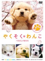 やくそくわんこ