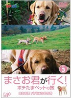 まさお君が行く！ポチたまペットの旅 VOL.3 まさお君 パパになるの巻　テレビ