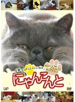 にゃんこんと ～くすっと笑えるネコネコ動画 ホントはこんなこと言ってたりして～　趣味・教養