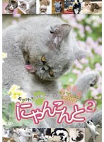 にゃんこんと2 ～キャット驚くオモシロねこ動画 ホントはこんなこと言ってたりして～　趣味・教養