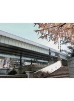 古地図で辿る江戸みち探訪噺～街道は今日も泰平～　趣味・教養