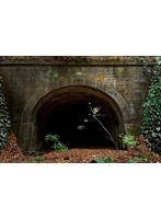 RuinsAnthem 廃道レガシイ Obroad Legacy　趣味・教養