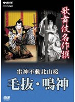 歌舞伎名作撰 雷神不動北山桜 毛抜・鳴神　カルチャー