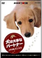 NHK趣味悠々 犬は大事なパートナー 上手な飼い方、しつけ方　趣味・教養