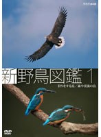 新 野鳥図鑑 第1集 狩をする鳥/森や渓流の鳥　趣味・教養