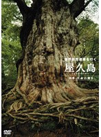 世界自然遺産 屋久島 ～四季生命の輝き～　趣味・教養