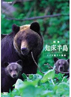 四季・知床半島 ～ヒグマ親子の物語～　趣味・教養