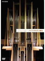 ST.MARY’S CATHEDRAL パイプオルガン誕生　趣味・教養