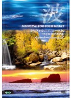 波 ～Medicine For Your Heart～ カリフォルニア:コースト、ワイルドライフ＆ウォーターフォールズ　趣味・教養