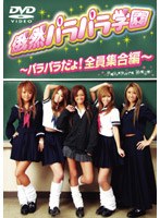 俄然パラパラ学園～パラパラだよ！全員集合編～　カルチャー