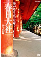 NHK-DVD 神が降り立った森で～春日大社・祈りの記録～　テレビ