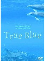 True Blue　趣味・教養