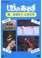 NHK DVD しぜんとあそぼ ～とり はばたく ともだち～　テレビ