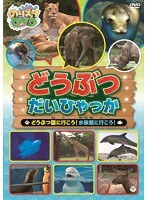 のりスタDVD どうぶつだいひゃっか ～どうぶつ園に行こう！水族館に行こう！～　趣味・教養