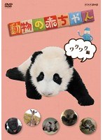 NHKDVD 動物の赤ちゃん ワクワク編　テレビ