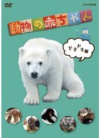 NHKDVD 動物の赤ちゃん ドキドキ編　テレビ