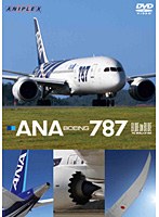 ANA BOEING 787　趣味・教養