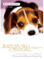 犬のためのDVD/あなたがいないときのために あなたの犬のためのリラックスする映像と音楽　趣味・教養