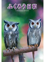 ふくろう日和　趣味・教養