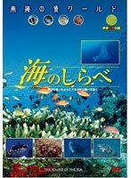 南海の魚ワールド 海のしらべ 映像魚類図鑑　趣味・教養