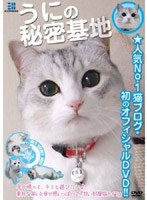 ウニの秘密基地　趣味・教養