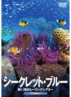 シークレット・ブルー-青い海のヒーリングシアター-　カルチャー