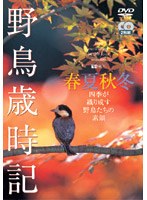 野鳥歳時記・春夏秋冬[2枚組]　趣味・教養