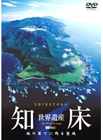 世界遺産 知床　カルチャー