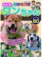 動物大好き！NEWワンちゃんスペシャル50　趣味・教養
