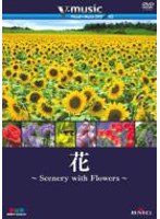 V-music 花-Scenery with Flowers-　趣味・教養