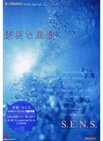 V-music Artist Special 透明な風景/music by S.E.N.S.　趣味・教養