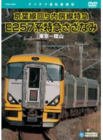 E257系特急 さざなみ（東京～館山）　趣味・教養
