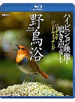 シンフォレストBlu-ray 野鳥浴 ハイビジョン映像と鳴き声で愉しむバーチャル・バードウォッチング （ブルーレイディスク）　趣味・教養
