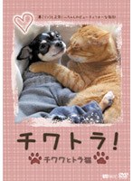 チワトラ！チワワとトラ猫★凛（リン）と正宗にぃちゃんのビューティフォーな毎日！　趣味・教養