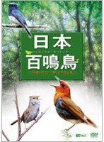 日本百鳴鳥 映像と鳴き声で愉しむ野鳥図鑑　趣味・教養