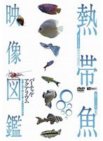 シンフォレストDVD 熱帯魚映像図鑑 バーチャル・アクアリウム 映像と音で愉しむ美しき熱帯魚の世界　趣味・教養