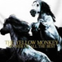  THE YELLOW MONKEY/THE YELLOW MONKEY MOTHER OF ALL THE BEST（初回限定盤）でDMMアフィリエイトツール