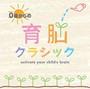  0歳からの育脳クラシックでDMMアフィリエイトツール