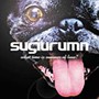 スギウラム/ホワット・タイムズ・イズ・サマー・オブ・ラブ？